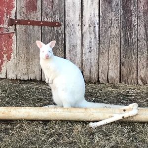 Meet your Posher, Bethany